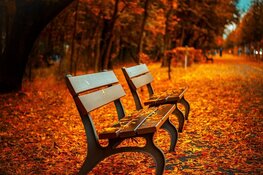 Vanaf vandaag is het herfst