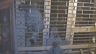 Getuigen gezocht inbraak juwelier Poeldijk