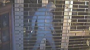 Getuigen gezocht inbraak juwelier Poeldijk