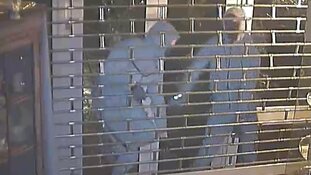 Getuigen gezocht inbraak juwelier Poeldijk