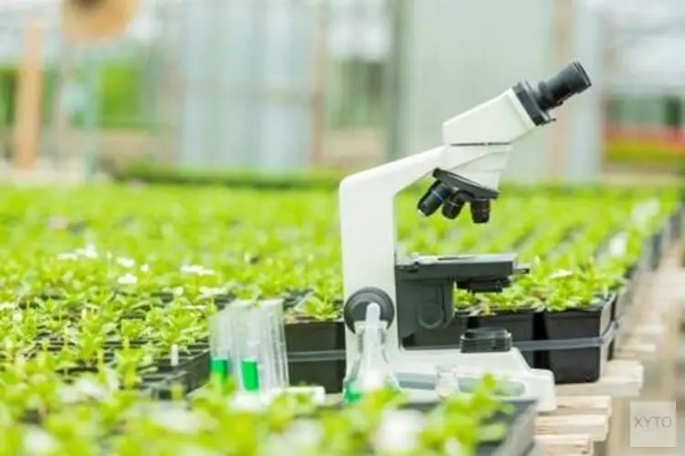 Bijeenkomst ‘Naar een circulaire (glas)tuinbouwsector’