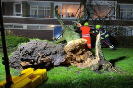 Zondagse storm Ciara houdt Nederland in greep (fotoalbum)