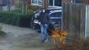 Diefstallen autospiegels Westland