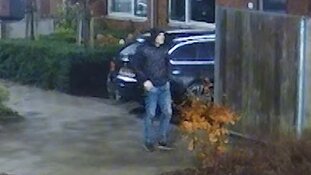 Diefstallen autospiegels Westland