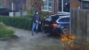 Diefstallen autospiegels Westland