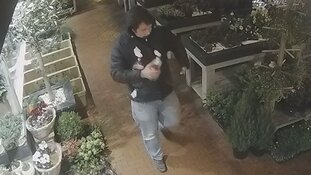 Brandstichting De Lier, getuigen gezocht