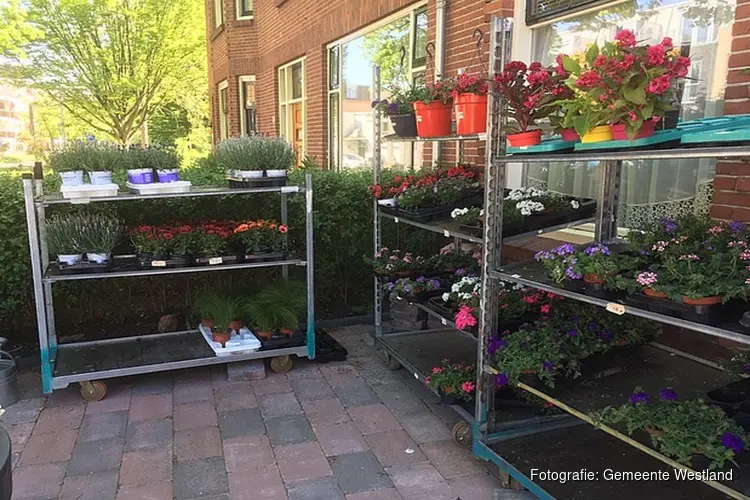 Stop verkoop bloemen en planten door particulieren