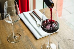 WijnSpijs Wandeling Den Haag 