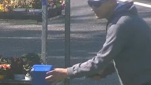 Gezocht: Diefstal geldkistje &#39;s-Gravenzande