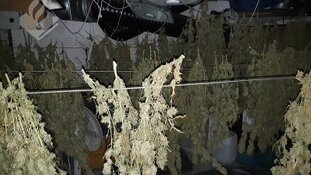 Vier aanhoudingen na handhavingsactie