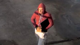 Gezocht: Diefstal uit bedrijf Wateringen