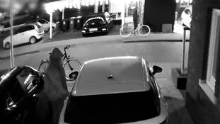 Gezocht: Diefstallen in het Westland