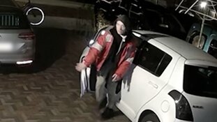 Gezocht: Diefstallen in het Westland