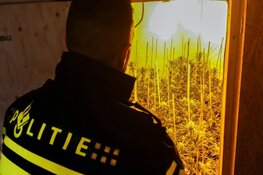 Vondst hennepkwekerij na melding vuurwapens