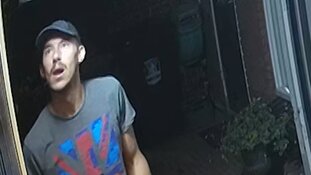 Gezocht: Diefstal uit schuur Honselersdijk