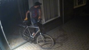 Gezocht: Diefstal uit schuur Honselersdijk