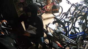 Gezocht: Diefstal uit schuur Honselersdijk