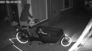 Gezocht: Diefstal uit schuur Honselersdijk