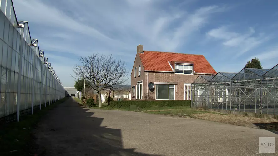 Belangrijke getuige gezocht dodelijk steekincident Honselersdijk