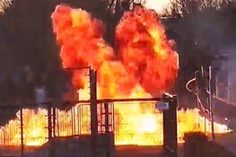 Politie roept vandalen ’s-Gravenzande op zich te melden