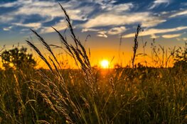 Noordelijke wind brengt verkoeling, maar komende week blijft grotendeels droog en zonnig