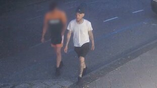 Gezocht: Straatroof Gantellaan Monster