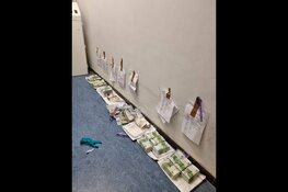 Ruim miljoen euro gevonden bij zoekingen Naaldwijk en Alphen aan den Rijn