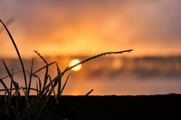 Juli begint wisselvallig, later deze week weer zomers