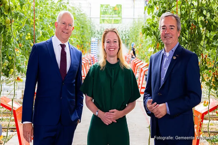 Digitale revolutie in glastuinbouw met twee nieuwe projecten