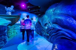 Vier de zomervakantie bij het Museum van het Jaar!
