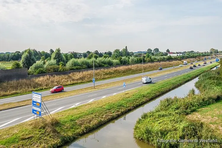 Bereikbaar Westland: verbreding N211 Wippolderlaan begint met bomenkap