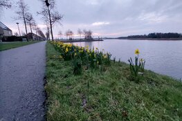 Laatste week februari begint wisselvallig, daarna droger en vaker zon