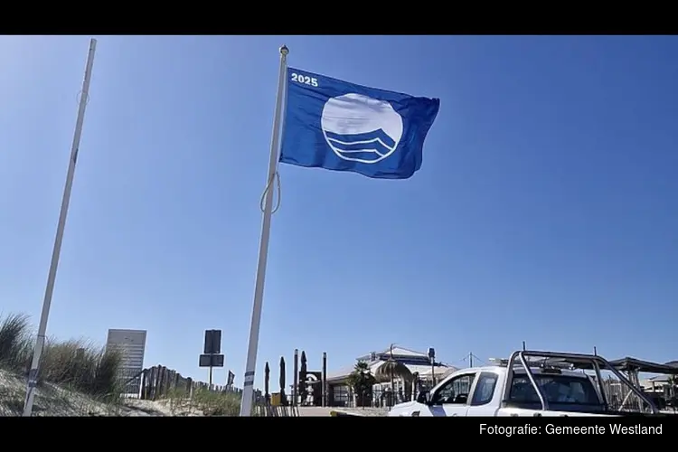 Blauwe Vlag wappert op alle Westlandse stranden
