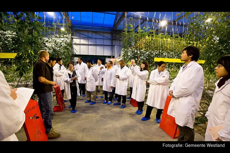 Westland start wereldwijd netwerk voor tuinbouw