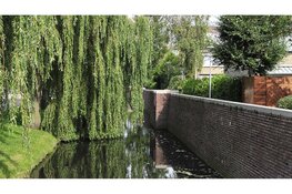 Zorgen over waterkwaliteit in Westland blijven