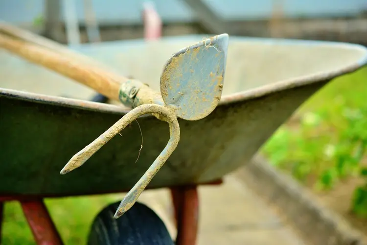 Vernieuwing van beplantingsvakken vanaf half september