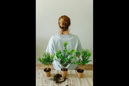 Gemeente Westland deelt 2.500 planten en bomen uit aan inwoners