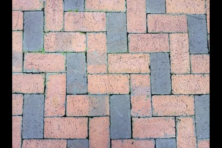 Westland verdrievoudigt aantal gewipte tegels tijdens NK