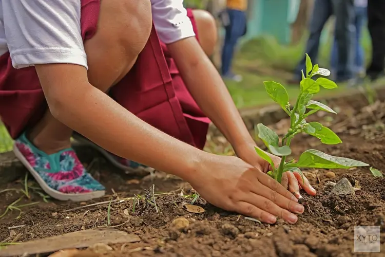 Nieuwe aanplant geeft voedselbos De VliereLier verder vorm