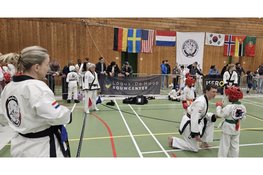 Wereldtop in Wateringen: Tang Soo Do toernooi maakt diepe indruk