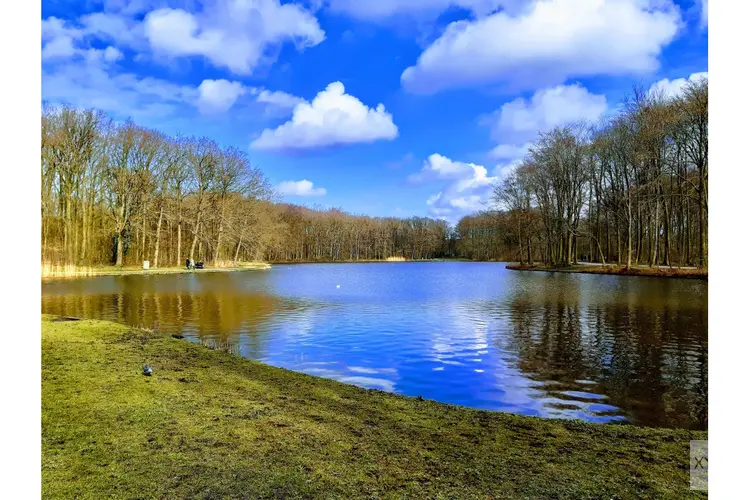 Omgevingsbeleid 2025: Provincie Zuid-Holland maakt scherpe keuzes voor de toekomst