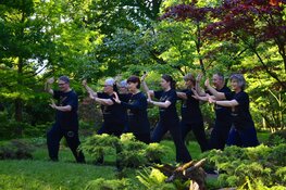 Tai Chi in Den Haag en Leiden; Ontdek de kracht van zachte bewegingen.