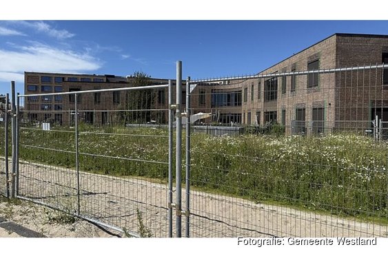 Denk mee over Tiny Forest bij WSKO Waalcampus