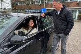 Rijscholen in Westland